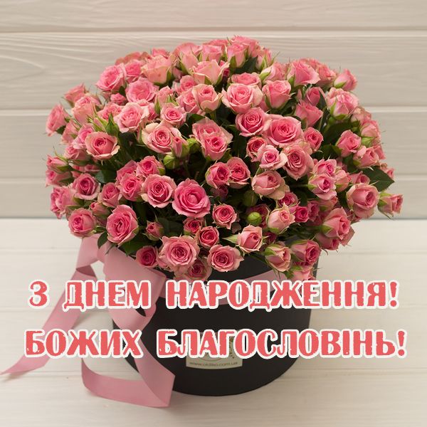 Привітання з днем народження народження племінниці українською мовою
